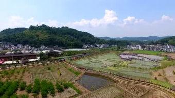 国产坳坳视频在线,带你领略本土创意魅力