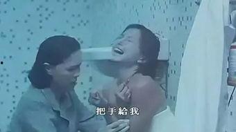 国产 女同视频网站,探索多元女性情感世界的新平台