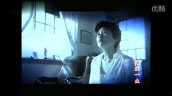 国产自卫漫视频,热血青春，守护家园的青春力量