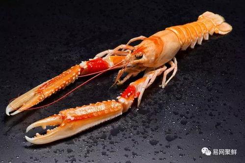 国产海螯虾开箱视频播放,新鲜美味尽收眼底