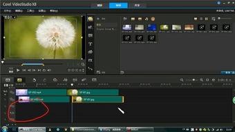 国产精品8x视频,探索视觉盛宴的极致魅力