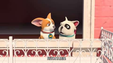 动漫国产宠物视频在线,国产动漫宠物视频盛宴