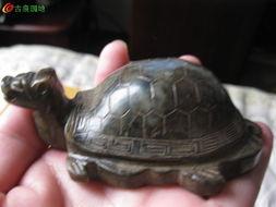 国产老乌龟视频,揭秘国产动画的崛起之路