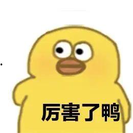 鸭子视频国产深夜小老弟,鸭子视频中的“小老弟”现象解析