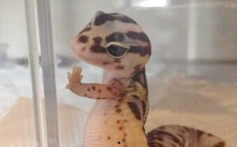 青青国产p视频 第3张 青青国产p视频 第3张