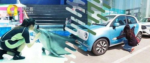 国产小电车对比图片视频  第3张