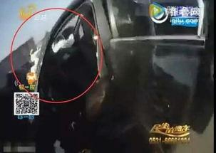 德系和国产碰撞视频大全,揭秘汽车安全性能真相