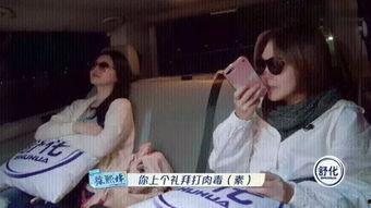 美女国产综艺节目视频  第2张