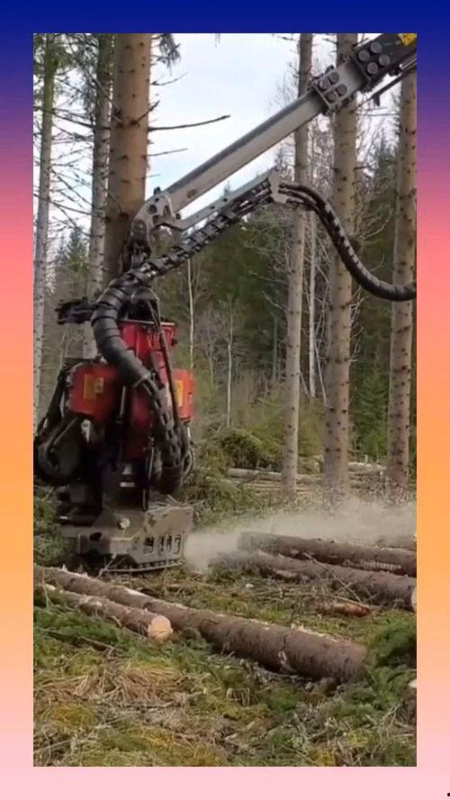 国产机器砍伐树木视频,树木砍伐新视角  第3张
