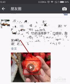 微信国产视频2017,创新与发展的璀璨篇章  第1张