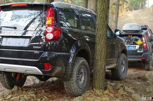 国产轻卡越野改装视频大全,视频大全解析  第3张